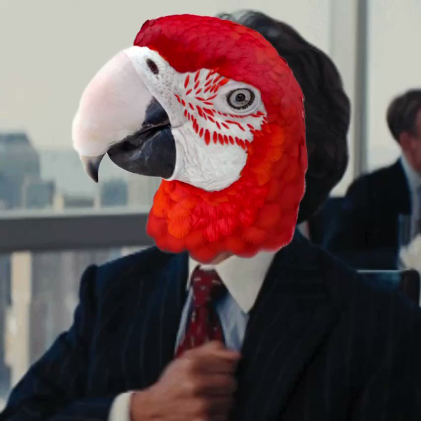 Redbirb in a suit meme